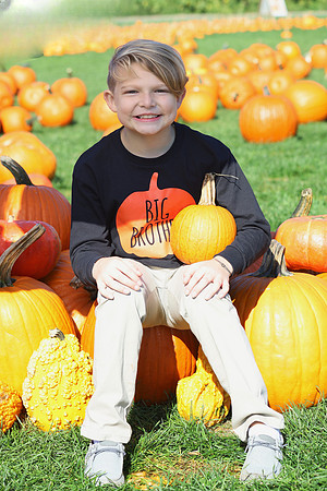 IMG_0029_exposure_cleanup
