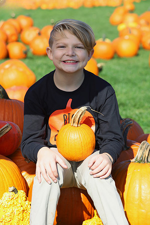 IMG_0025_exposure_cleanup