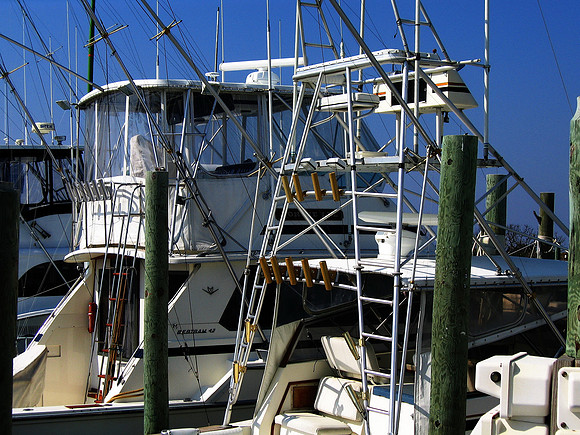 NC-CapeHatteras-CnS50_040904_5155