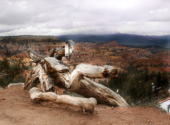 Utah